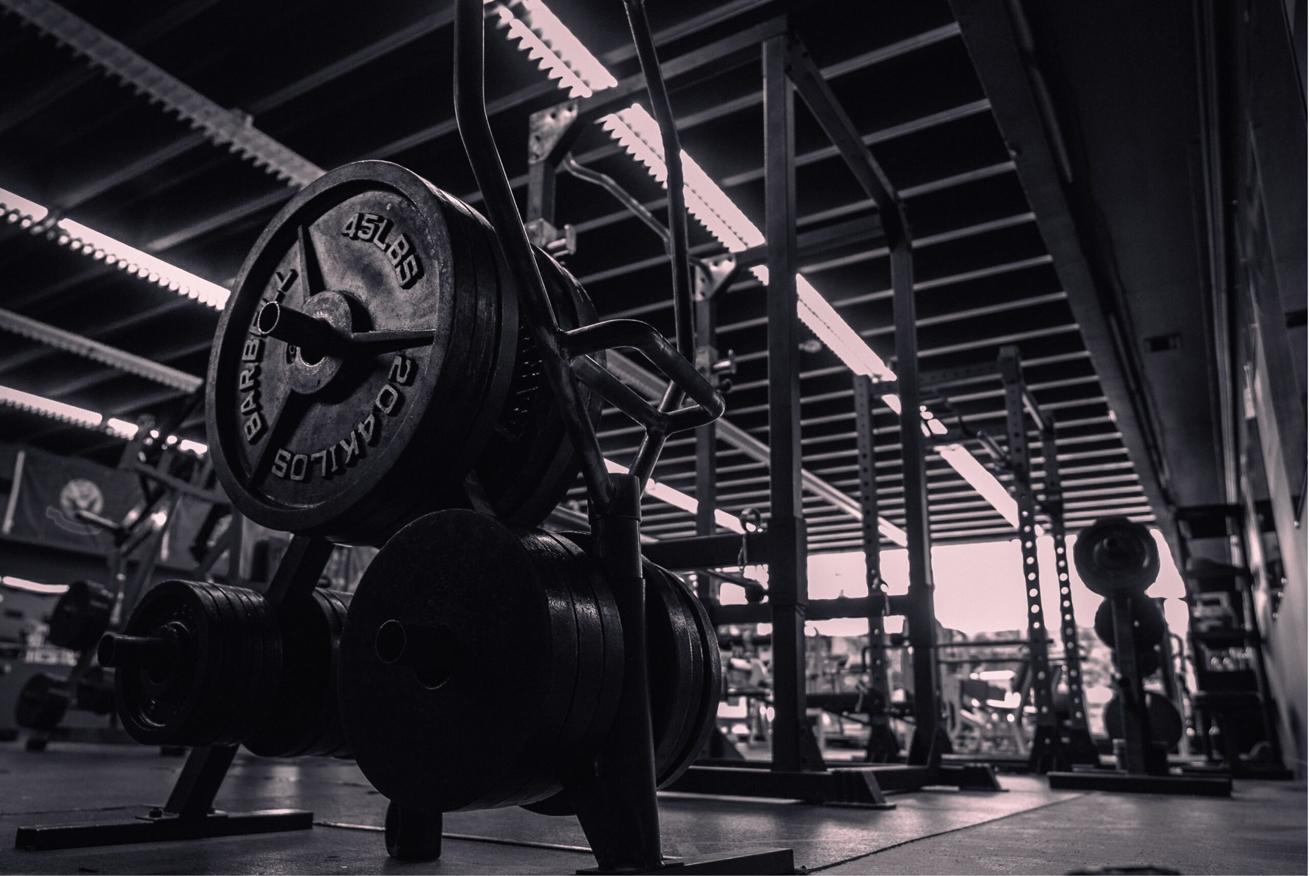 Spora Yeni Başlayan Kadınlarda Ağırlık Antrenmanı ve Kas Adaptasyonu